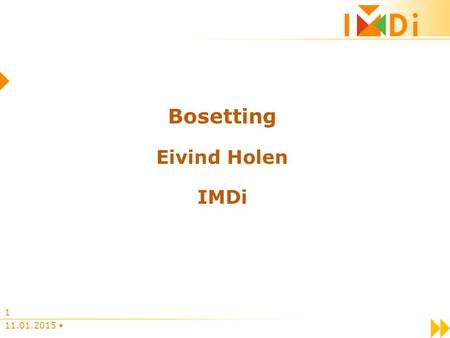 Bosetting Eivind Holen IMDi