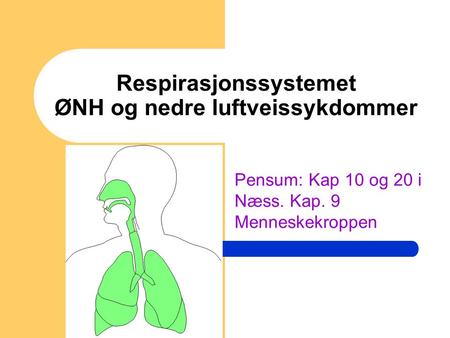 Respirasjonssystemet ØNH og nedre luftveissykdommer