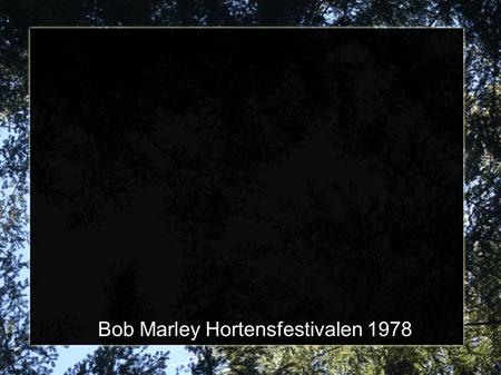 Bob Marley Hortensfestivalen 1978