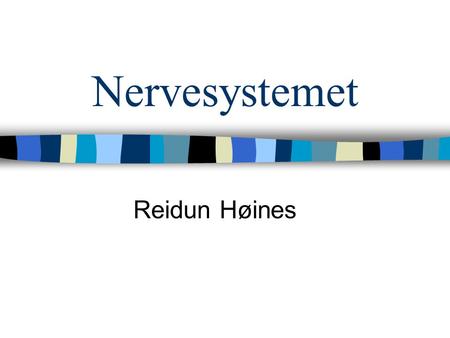 Nervesystemet Reidun Høines.