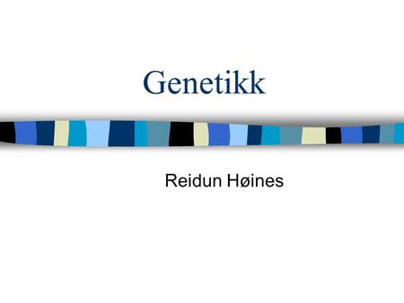 Genetikk Reidun Høines.