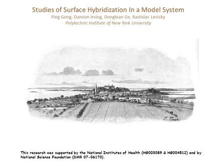 Studies of Surface Hybridization In a Model System Ping Gong, Damion Irving, Dongbiao Ge, Rastislav Levicky Polytechnic Institute of New York University.