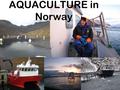 AQUACULTURE in Norway. SEAFOOD The largest seafood suppliers, wild catch and aquaculture - quantity (FAO, 2006)