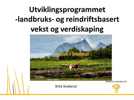 Utviklingsprogrammet -landbruks- og reindriftsbasert vekst og verdiskaping Brita Skallerud.