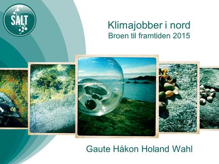 Klimajobber i nord Broen til framtiden 2015 Gaute Håkon Holand Wahl.