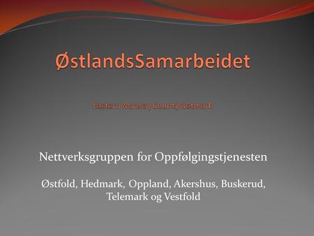 Nettverksgruppen for Oppfølgingstjenesten Østfold, Hedmark, Oppland, Akershus, Buskerud, Telemark og Vestfold.