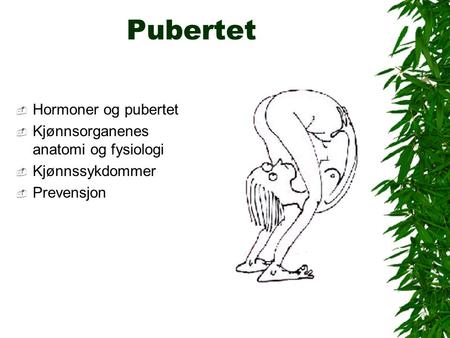 Pubertet  Hormoner og pubertet  Kjønnsorganenes anatomi og fysiologi  Kjønnssykdommer  Prevensjon.