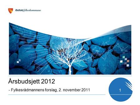 1 - Fylkesrådmannens forslag, 2. november 2011 Årsbudsjett 2012.