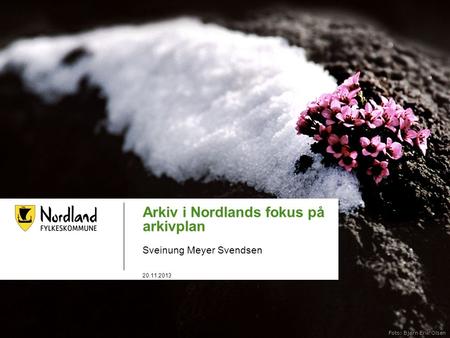Arkiv i Nordlands fokus på arkivplan Sveinung Meyer Svendsen 20.11.2013 Foto: Bjørn Erik Olsen.