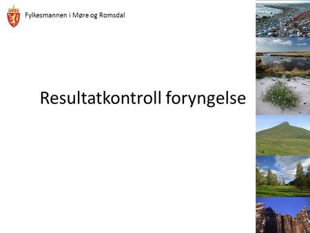 Fylkesmannen i Møre og Romsdal Resultatkontroll foryngelse.
