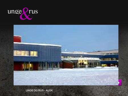 UNGE OG RUS - AUSK. ALTA UNGDOMSSKOLE Alta ungdomsskole har pr. dato ca. 475 elever og ca. 70 ansatte Skolen består av 17 klasser (inneværende år 6 klasser.