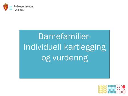 Barnefamilier- Individuell kartlegging og vurdering.