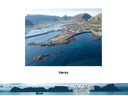 Værøy. Lofoten Viking AS Lofoten Viking as er en datterbedrift i Nord Norges største fiskerikonsern Nergård AS Produksjon og omsetning Pelagisk og hvitfisk.