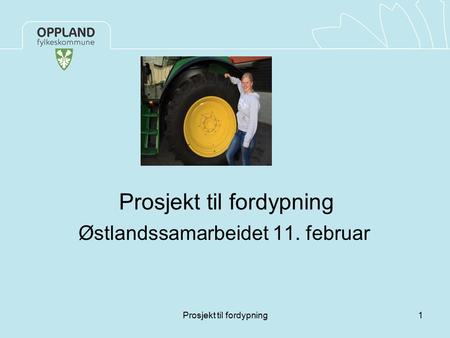 Prosjekt til fordypning Østlandssamarbeidet 11. februar 1Prosjekt til fordypning.
