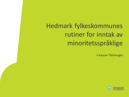 Hedmark fylkeskommunes rutiner for inntak av minoritetsspråklige v/Kasper Tøstiengen.
