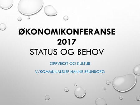 Økonomikonferanse 2017 status og behov