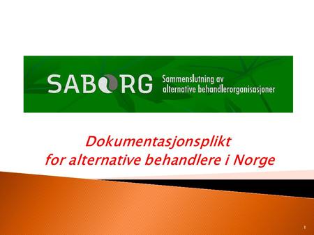 Dokumentasjonsplikt for alternative behandlere i Norge
