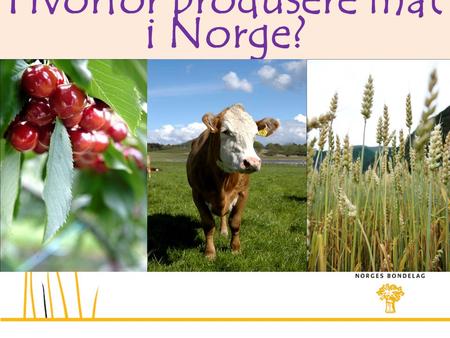 Hvorfor produsere mat i Norge?