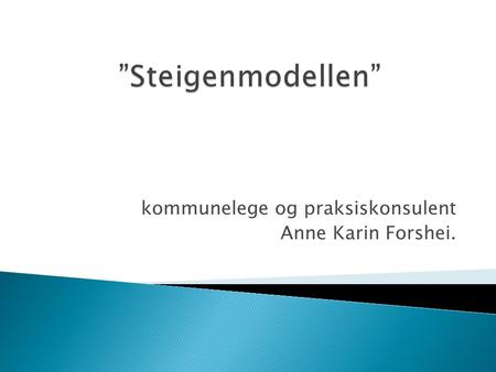 kommunelege og praksiskonsulent Anne Karin Forshei.
