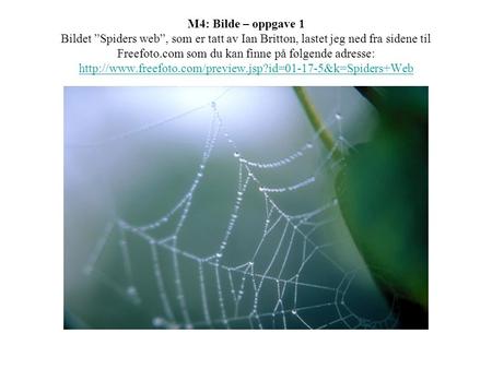 M4: Bilde – oppgave 1 Bildet ”Spiders web”, som er tatt av Ian Britton, lastet jeg ned fra sidene til Freefoto.com som du kan finne på følgende adresse: