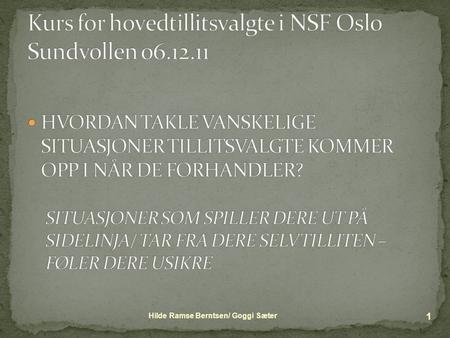 Kurs for hovedtillitsvalgte i NSF Oslo Sundvollen