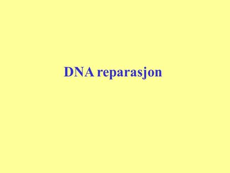 DNA reparasjon.
