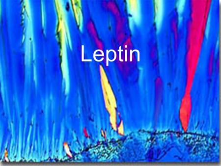 Leptin.