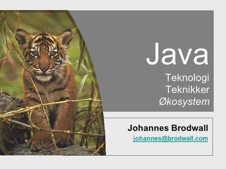 Java Teknologi Teknikker Økosystem Johannes Brodwall
