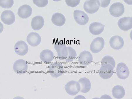 Malaria Kristine Mørch