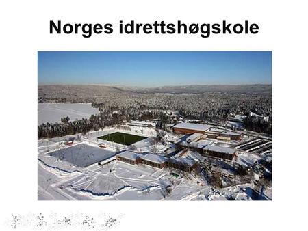 Norges idrettshøgskole