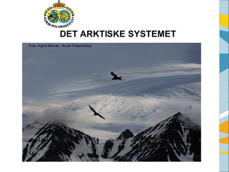 DET ARKTISKE SYSTEMET Tekst fra side 8 i heftet Det Arktiske System, eller siden ”Det Arktiske System” på www.arcticsystem.no Arktis kan beskrives som.