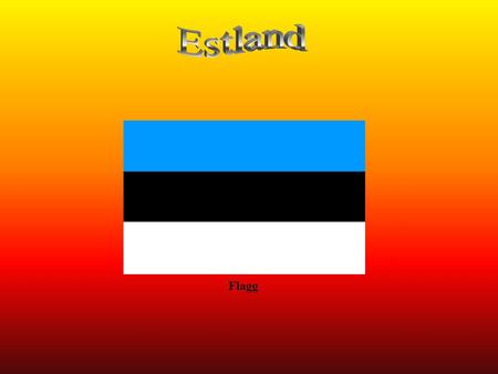 Estland Flagg.
