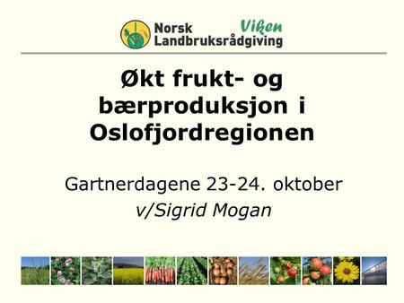 Økt frukt- og bærproduksjon i Oslofjordregionen