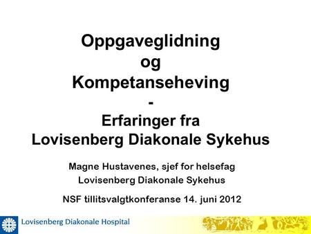 Magne Hustavenes, sjef for helsefag Lovisenberg Diakonale Sykehus