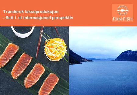 Trøndersk lakseproduksjon - Sett i et internasjonalt perspektiv