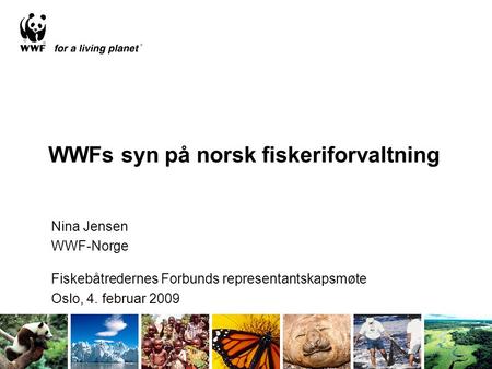 WWFs syn på norsk fiskeriforvaltning Nina Jensen WWF-Norge Fiskebåtredernes Forbunds representantskapsmøte Oslo, 4. februar 2009.