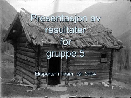 Presentasjon av resultater for gruppe 5 Eksperter i Team, vår 2004