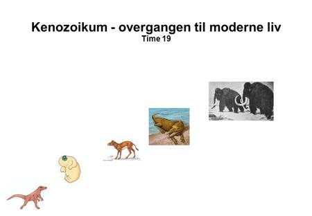 Kenozoikum - overgangen til moderne liv Time 19