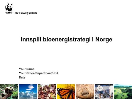Innspill bioenergistrategi i Norge Your Name Your Office/Department/Unit Date.