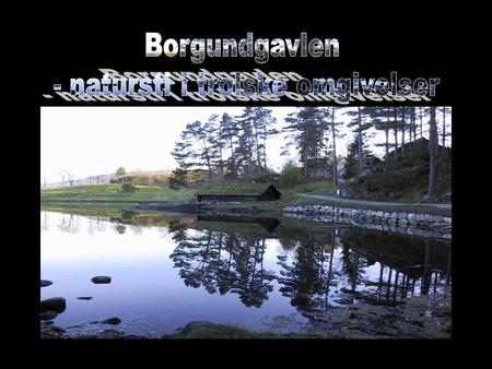 Naturstien i Borgundgavlen er opparbeidet av Det norske Skogselskap, Møre og Romsdal. Naturstien er 1,4 km lang og ligger i et område som disponeres.