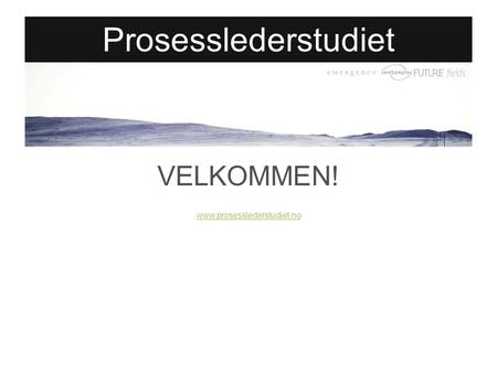 Prosesslederstudiet VELKOMMEN! www.prosesslederstudiet.no.
