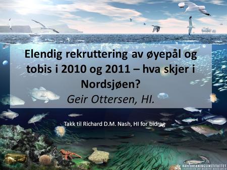 Elendig rekruttering av øyepål og tobis i 2010 og 2011 – hva skjer i Nordsjøen? Geir Ottersen, HI. Takk til Richard D.M. Nash, HI for bidrag.
