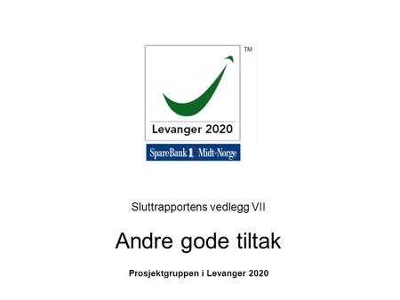 Sluttrapportens vedlegg VII Andre gode tiltak Prosjektgruppen i Levanger 2020.
