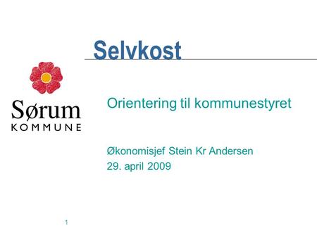1 Selvkost Orientering til kommunestyret Økonomisjef Stein Kr Andersen 29. april 2009.