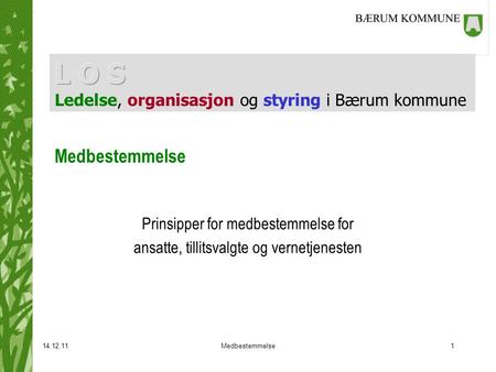L O S Ledelse, organisasjon og styring i Bærum kommune