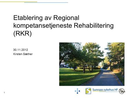 1 Etablering av Regional kompetansetjeneste Rehabilitering (RKR) 30.11.2012 Kirsten Sæther.