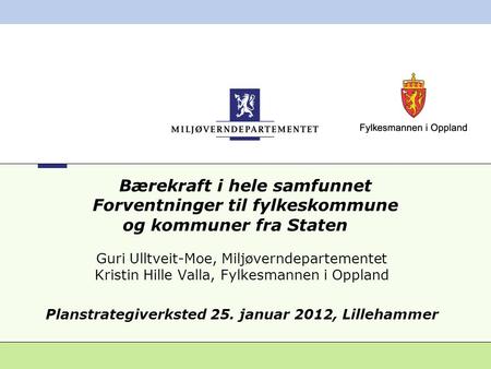 Planstrategiverksted 25. januar 2012, Lillehammer