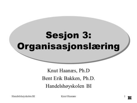 Sesjon 3: Organisasjonslæring