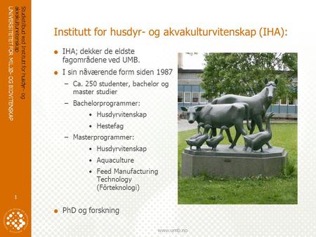 Institutt for husdyr- og akvakulturvitenskap (IHA):