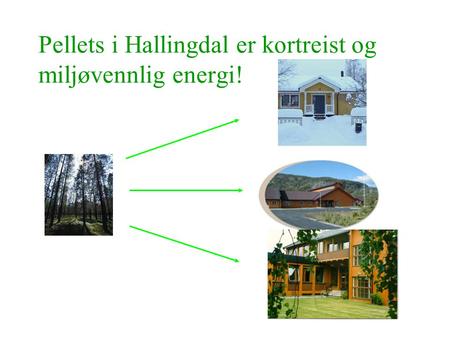 Pellets i Hallingdal er kortreist og miljøvennlig energi!
